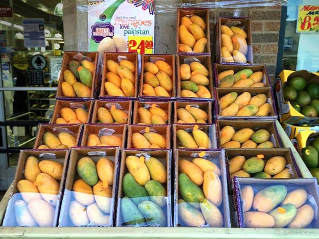 the fruit which is often dubbed as king of fruits by its lovers due to its sheer sweetness is available at a price of 24 99 photo us consulate general karachi