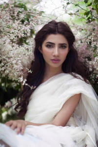 bin roye as a novel is superior to humsafar mahira khan