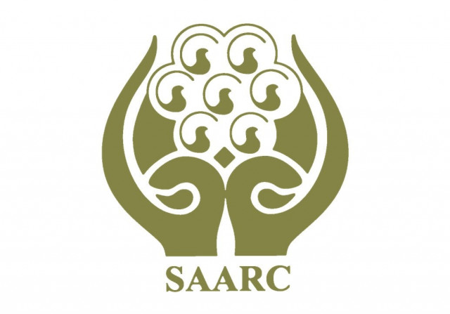 ipri president advocates full saarc membership for china photo online ipri president advocates full saarc membership for china photo online