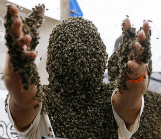 the number of bees in the shed was unbelievable it was like something you 039 d see in the movies says desantis photo drive hot blog the number of bees in the shed was unbelievable it was like something you 039 d see in the movies says desantis photo drive hot blog