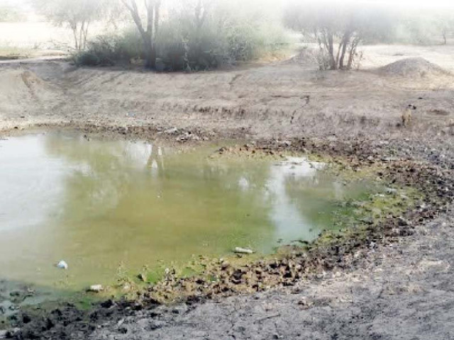 contaminated water in ponds is being used for all purposes including drinking photos express contaminated water in ponds is being used for all purposes including drinking photos express