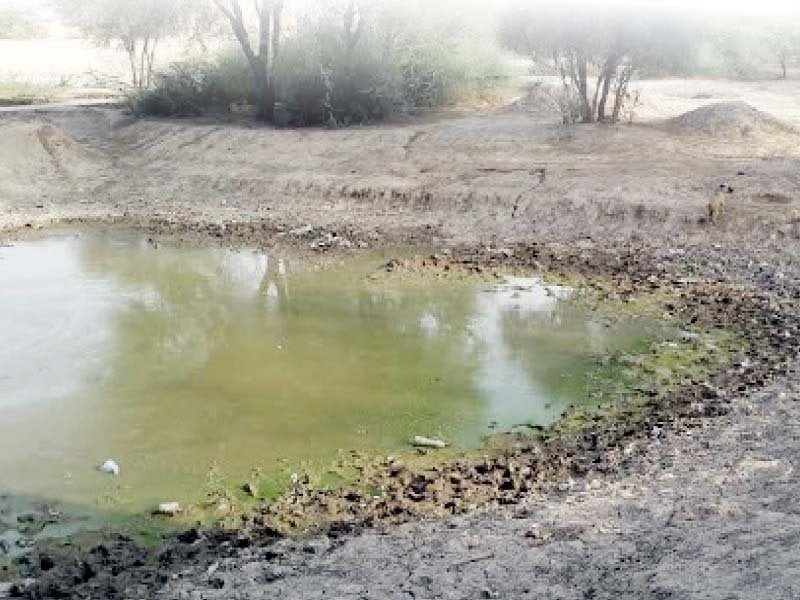 contaminated water in ponds is being used for all purposes including drinking photos express