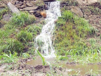 to flourish construction of bagh dheri channel begins to flourish construction of bagh dheri channel begins