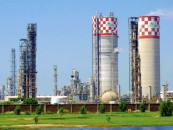 fertiliser cpps hit as govt extends gas levy