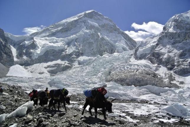 according to research the earthquake moved mount everest by three centimetres photo reuters