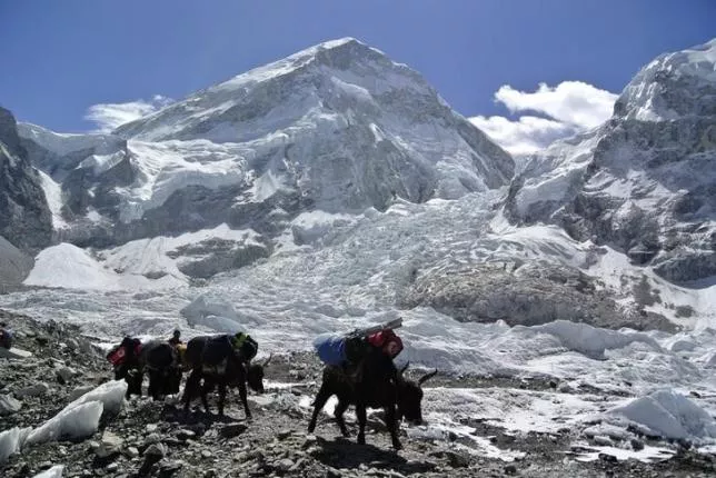 according to research the earthquake moved mount everest by three centimetres photo reuters according to research the earthquake moved mount everest by three centimetres photo reuters