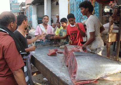 un appeals for 1 6bn for war ravaged yemen