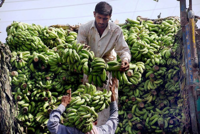 waste to compost banana farmers receiving training