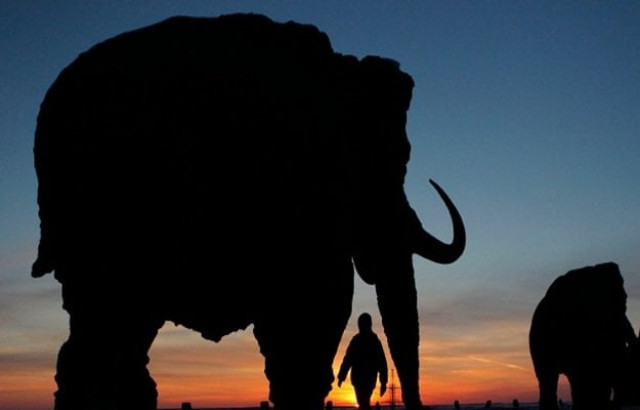 quot the study shows without any significant doubt that we are now entering the sixth great mass extinction event quot said paul ehrlich senior fellow at the stanford woods institute for the environment photo reuters quot the study shows without any significant doubt that we are now entering the sixth great mass extinction event quot said paul ehrlich senior fellow at the stanford woods institute for the environment photo reuters