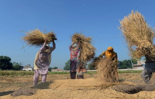 pm approves building colony at national agriculture research council s land photo afp