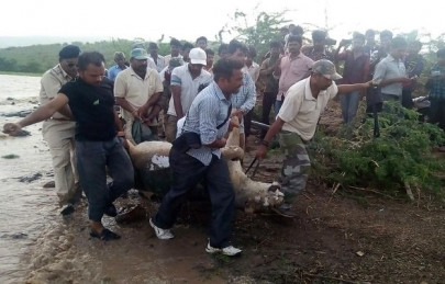 floods kill 81 in india s gujarat state floods kill 81 in india s gujarat state