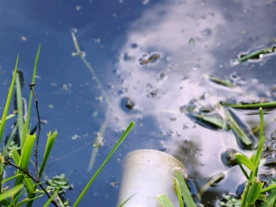 polluted ravi threat to humans aquatic life