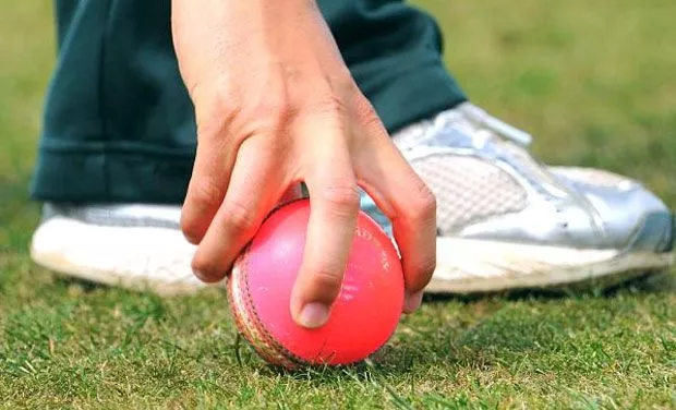 the pink ball is ready to make its debut in the australia nz day night test photo file afp the pink ball is ready to make its debut in the australia nz day night test photo file afp