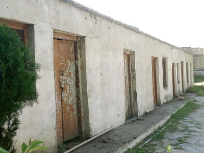 jail bird watching the forgotten victim the women outside the bars jail bird watching the forgotten victim the women outside the bars