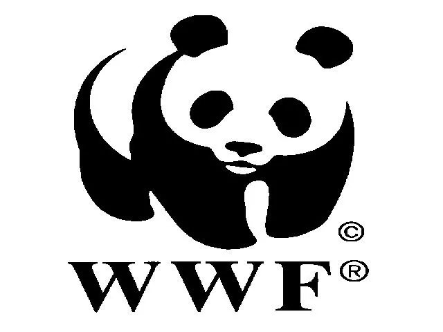 researcher says loss of natural habitat due to deforestation has caused leopards to venture into human settlements photo wwf researcher says loss of natural habitat due to deforestation has caused leopards to venture into human settlements photo wwf