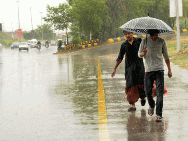 conference held at pm office to review preparedness