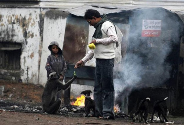 photo afp photo afp