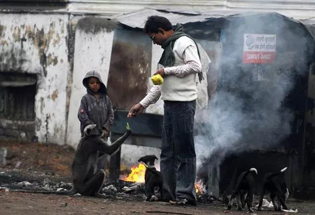 photo afp photo afp