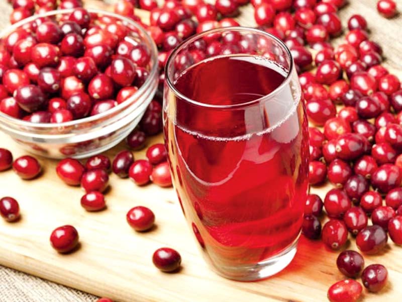 polyphenols present in cranberries support the body s natural defences photo file