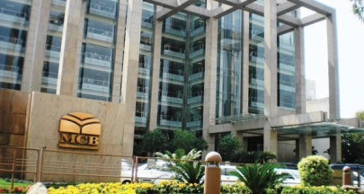 fact finding parliamentary panel to probe hec mcb bank privatisation