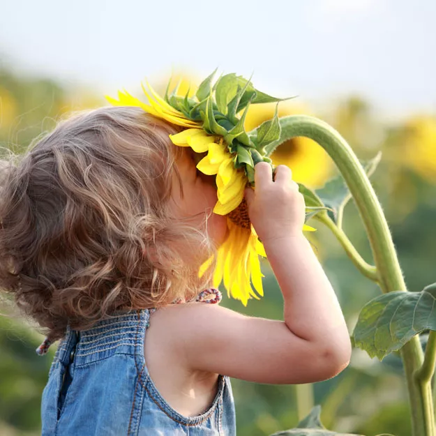 researchers have found while normal children adjust their sniffing if something is unpleasant autistic kids do not photo kimconstable researchers have found while normal children adjust their sniffing if something is unpleasant autistic kids do not photo kimconstable