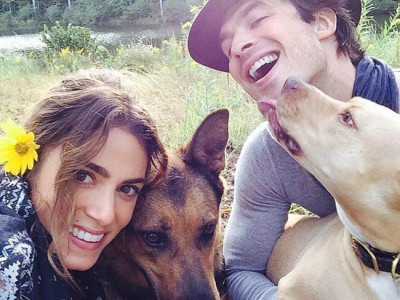 tindog app helps animal lovers get their paws on other singletons tindog app helps animal lovers get their paws on other singletons