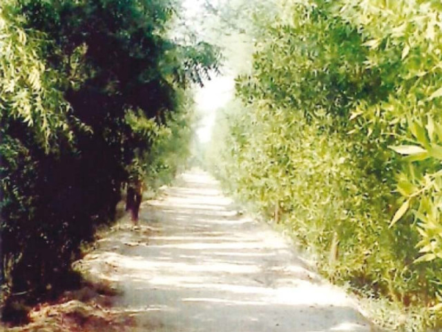 the booharki wildlife safari is sindh s first and largest public wildlife safari park and is located 42 kilometres from badin photo file