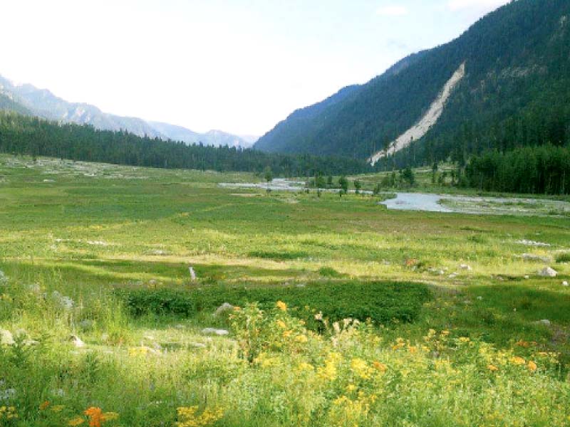 views of the beautiful kumrat valley photos express