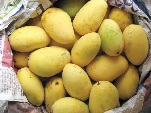 mango and orange are the top two fruits that pakistan exports but both are under threat photo file