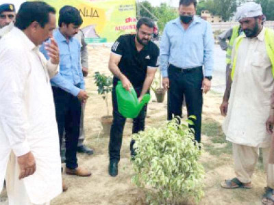 nha speeds up plantation drive nha speeds up plantation drive
