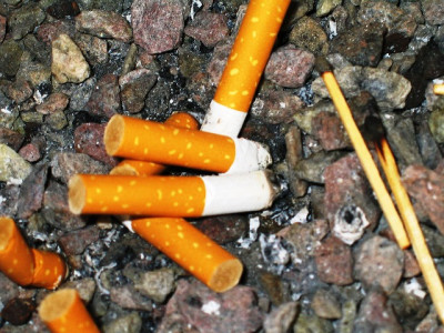 why i let my children smoke why i let my children smoke