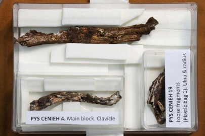 child s burial site tells of early man s emotional life