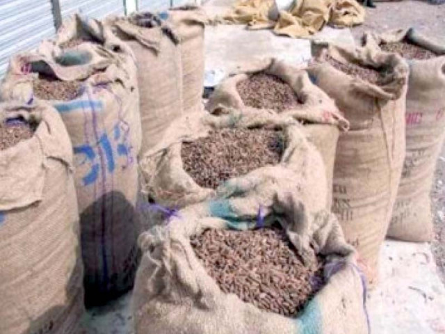 pine nuts stored in a godown in azad market in the wazir subdivision photo express pine nuts stored in a godown in azad market in the wazir subdivision photo express
