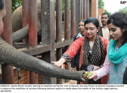 first time restriction public barred from entering karachi zoo during aseefa s visit