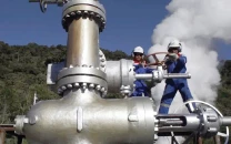 ogdc plans partnerships in libya vietnam