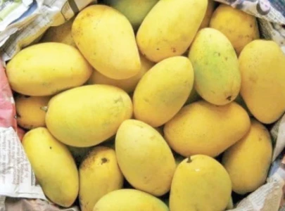 demand soars for local mangoes
