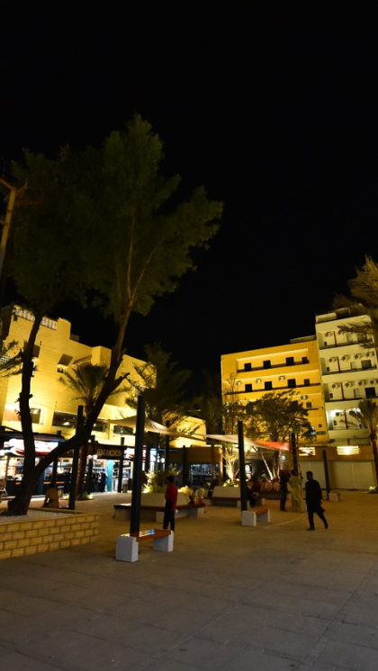 Updated Oct 14, 2024