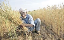 rahim yar khan faces 20 day canal shutdown