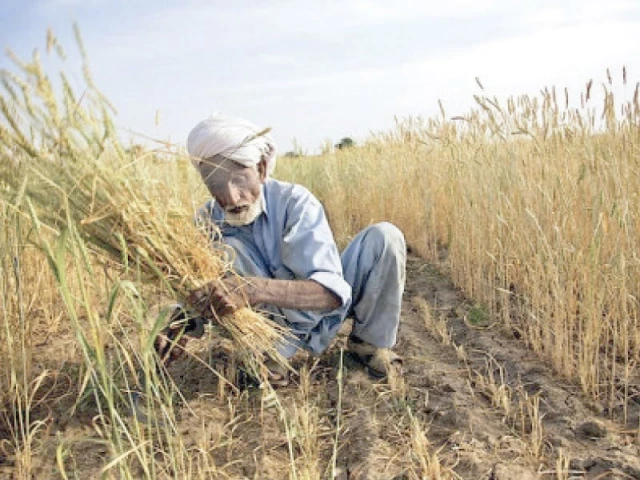 it was emphasised in the meeting that a two pronged strategy must be adopted short term measures to provide immediate relief to farmers and long term structural changes to cope with the adverse effects of climate change photo file