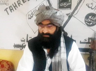 ttp chief reportedly sheltered in kabul