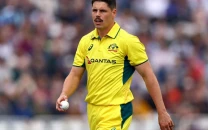 dwarshuis eyes regular australia spot dwarshuis eyes regular australia spot