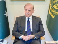 prime minister shehbaz sharif photo app file