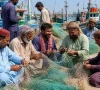 sindh launches rs100 200k fuel subsidy for fishermen sindh launches rs100 200k fuel subsidy for fishermen