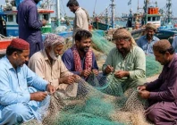 sindh launches rs100 200k fuel subsidy for fishermen sindh launches rs100 200k fuel subsidy for fishermen