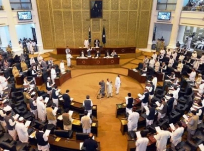 speaker halts budget session over absences