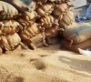 wheat mafia uncontrolled in hyderabad as prices spike
