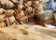 wheat mafia uncontrolled in hyderabad as prices spike