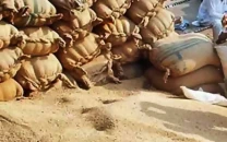 wheat mafia uncontrolled in hyderabad as prices spike