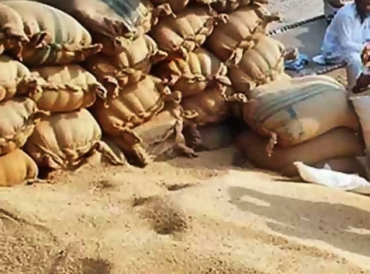 wheat mafia uncontrolled in hyderabad as prices spike wheat mafia uncontrolled in hyderabad as prices spike