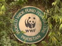 city staring at environmental catastrophe